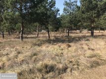 Działka budowlana Nowe Biskupice. Zdjęcie 4