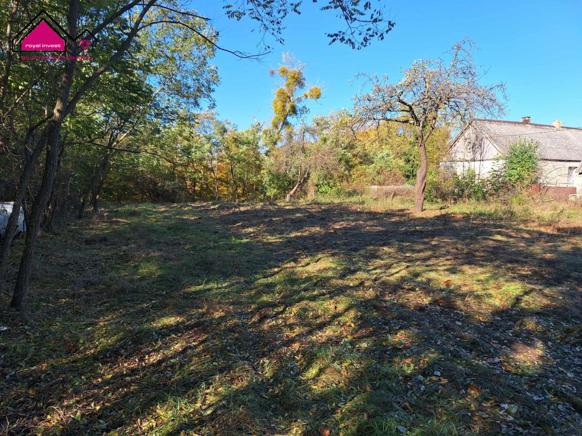 Działka budowlana Żółwieniec. Zdjęcie 4