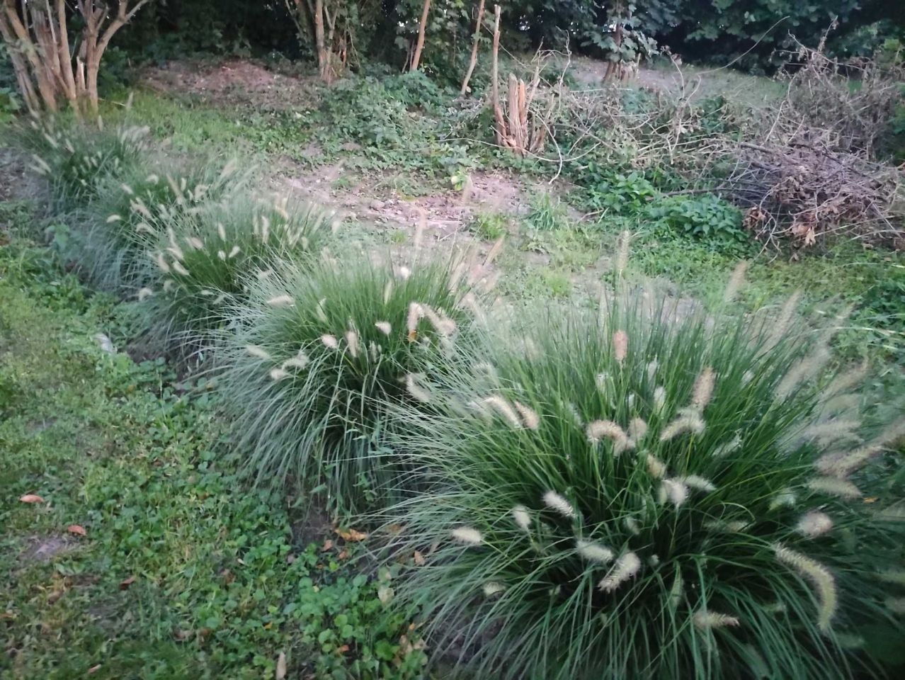 Działka rod Lublin. Zdjęcie 8