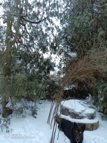 Działka rod Białystok Bagnówka, ul. Krzysztofa Pendereckiego. Zdjęcie 25