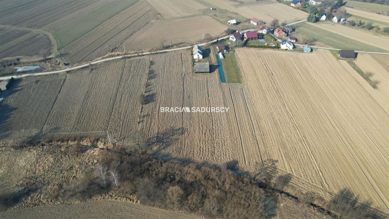 Działka siedliskowa Popędzyna. Zdjęcie 9