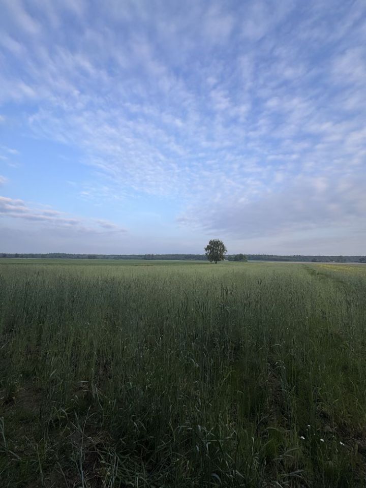 Działka rolna Nowe Naruszewo. Zdjęcie 8