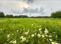 Działka budowlana Oleśnik. Zdjęcie 1