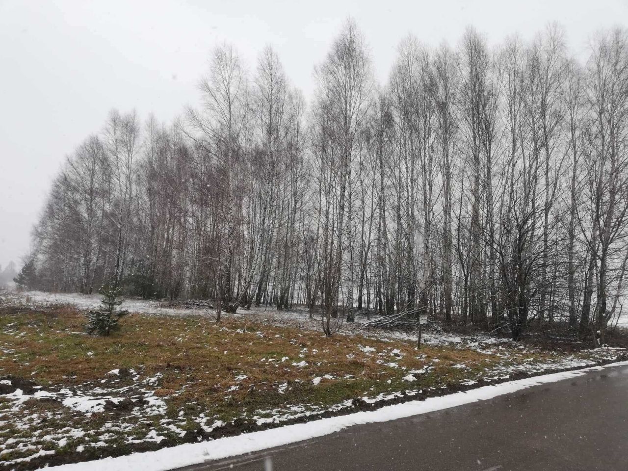 Działka budowlana Okrzeja. Zdjęcie 7