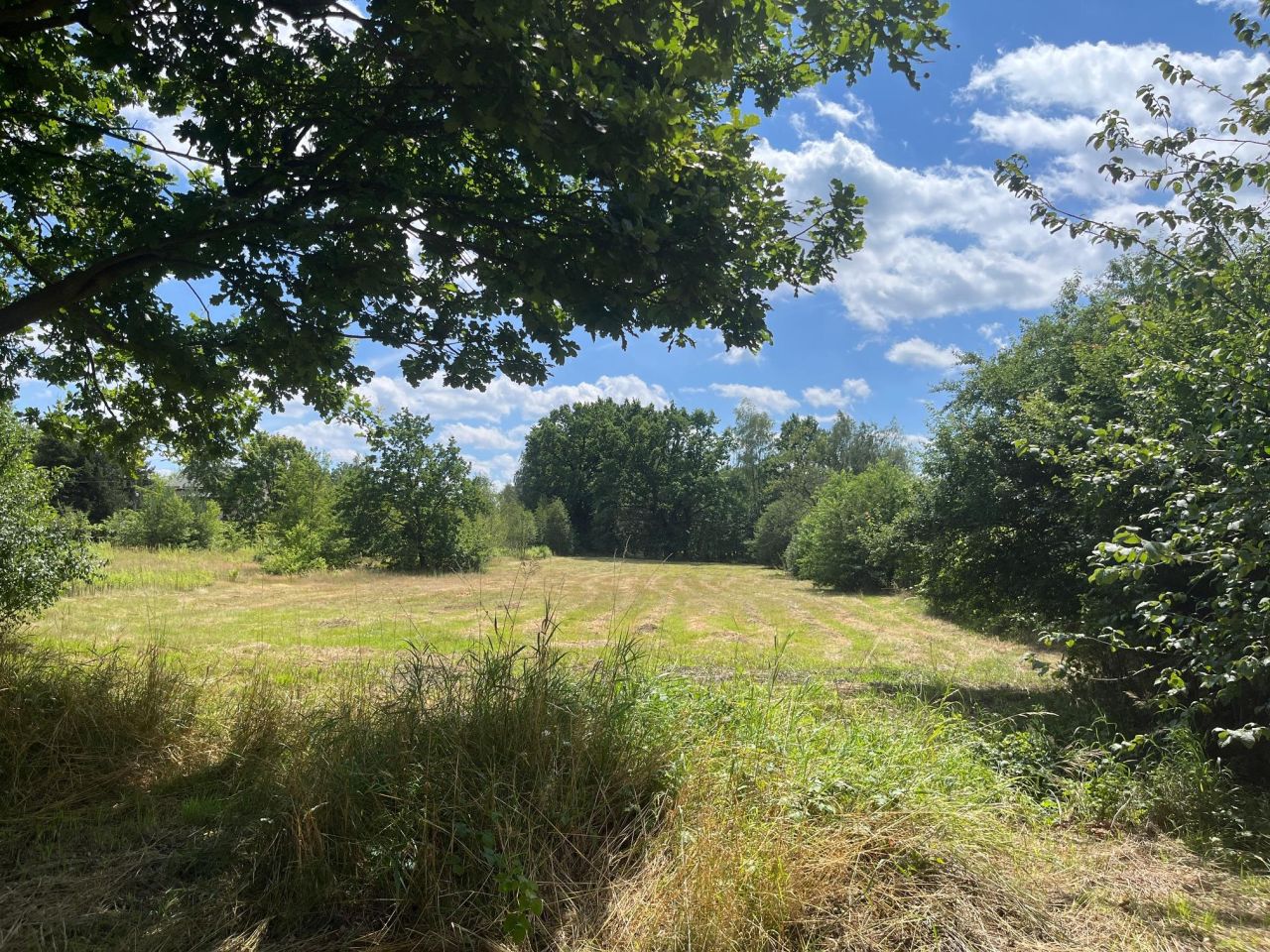 Działka budowlana Milanówek Wieś Milanówek. Zdjęcie 2