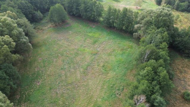 Działka budowlana Biały Ług. Zdjęcie 8