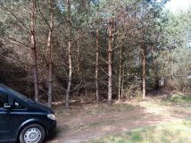 Działka budowlana Sierosław. Zdjęcie 1