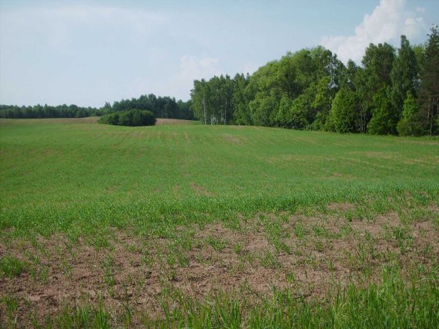 Działka budowlana Kozłowo. Zdjęcie 1