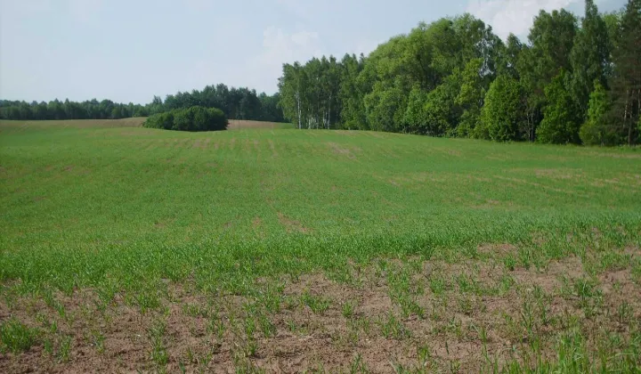 Działka budowlana Kozłowo