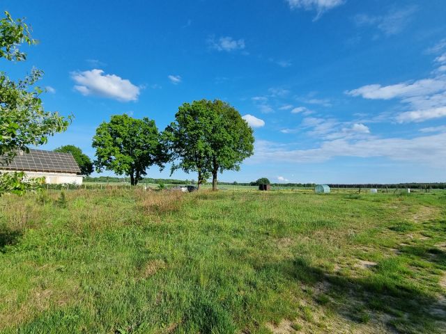 Działka budowlana Bagno. Zdjęcie 12