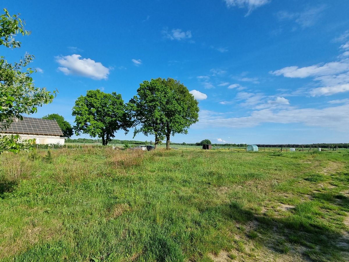 Działka budowlana Bagno. Zdjęcie 12