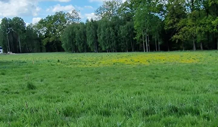Działka budowlana Młyńsko