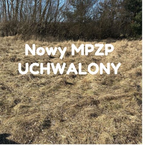 Działka rolno-budowlana Rogoźno, ul. Brzozowa. Zdjęcie 1