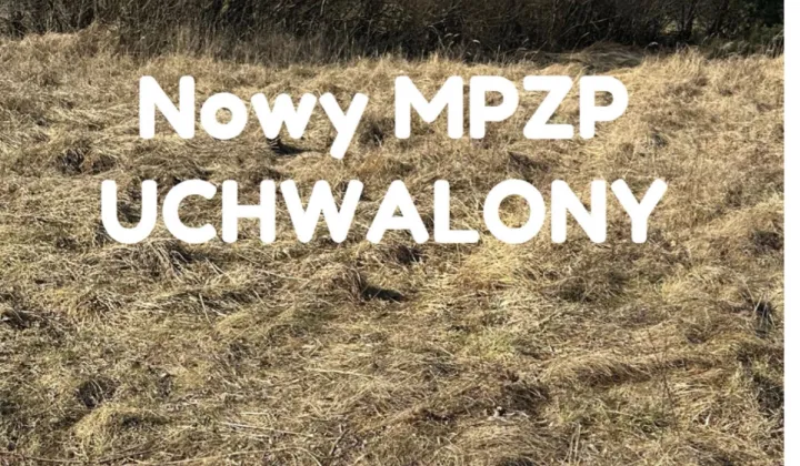 Działka rolno-budowlana Rogoźno, ul. Brzozowa