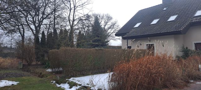 dom wolnostojący, 4 pokoje Wrocław Jerzmanowo, ul. Jerzmanowska. Zdjęcie 1