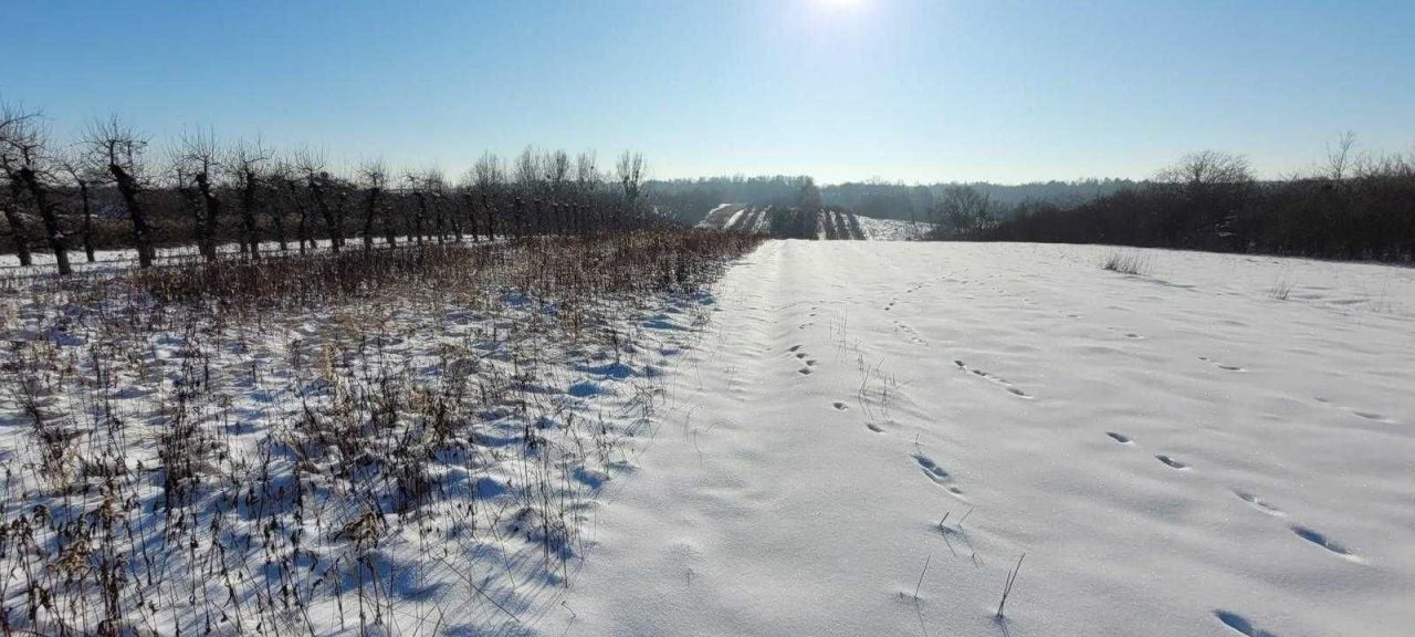 Działka budowlana Kazimierz Dolny Dąbrówka. Zdjęcie 6