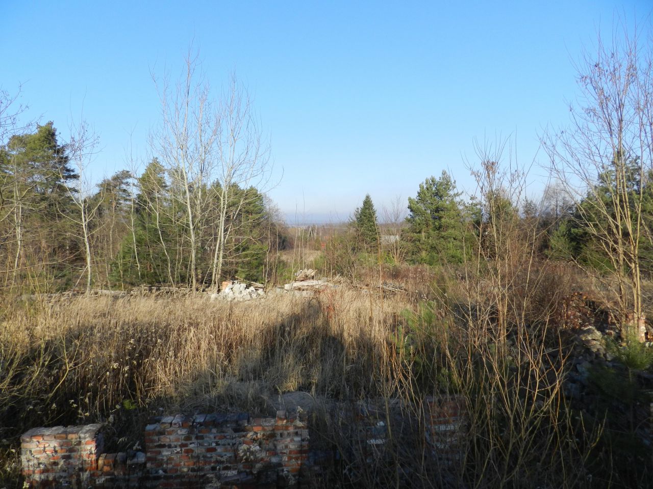 Działka siedliskowa Brzezinka Średzka, ul. Akacjowa. Zdjęcie 5