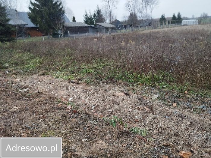 Działka siedliskowa Ostrów Północny. Zdjęcie 2