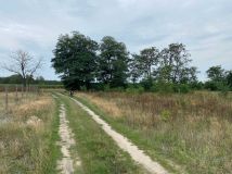 Działka budowlana Augustów
