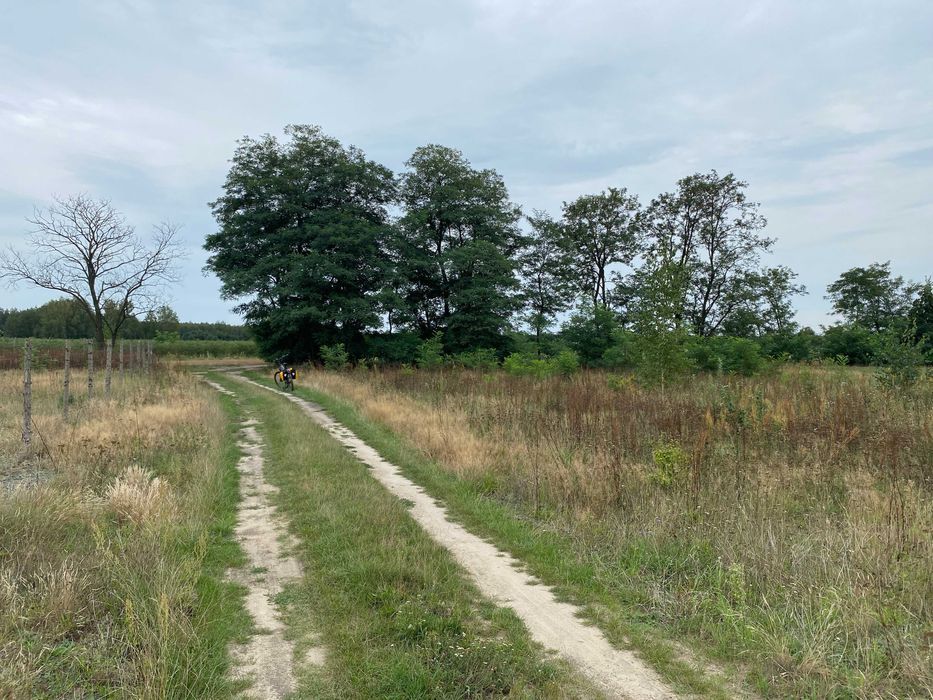 Działka budowlana Augustów