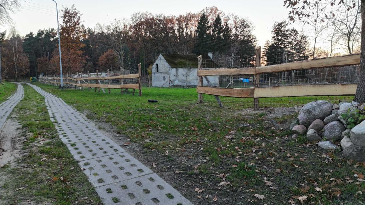 Działka rolno-budowlana Gardzin Gozdno. Zdjęcie 4