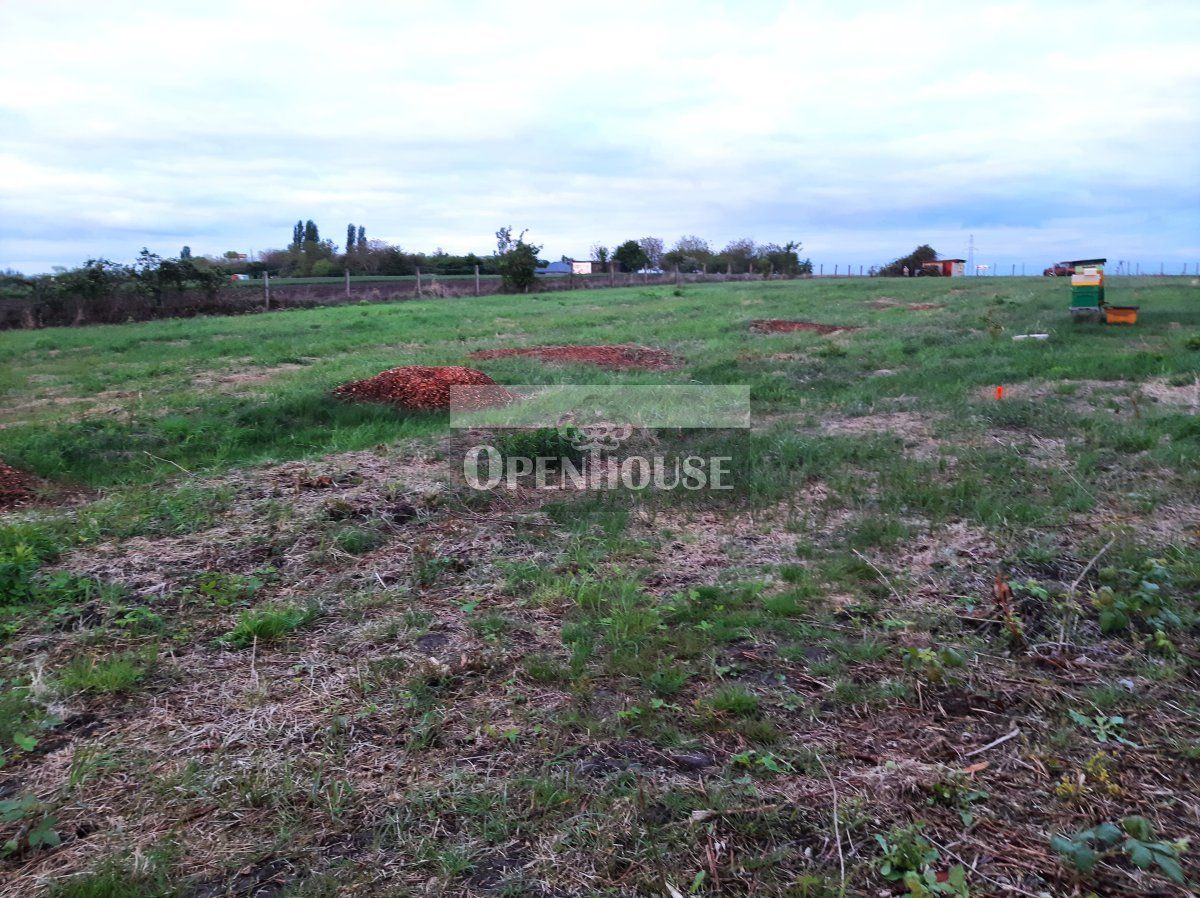 Działka budowlana Ruszowice. Zdjęcie 4