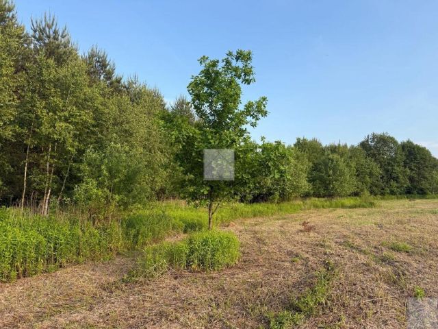 Działka rekreacyjna Radawa, ul. Cienkie. Zdjęcie 9