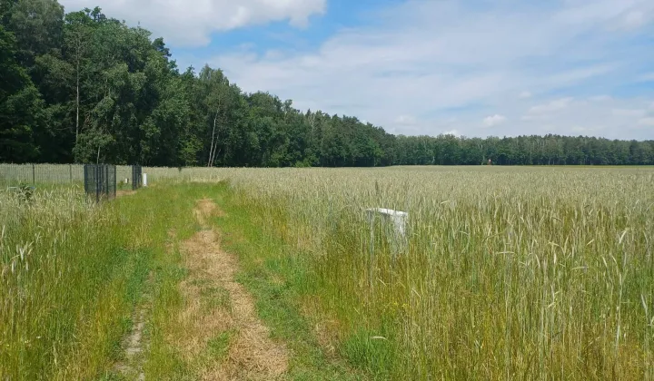 Działka budowlana Kociołki