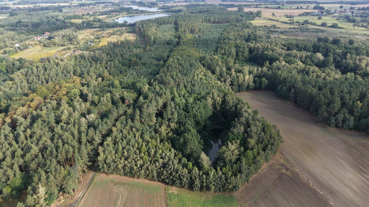 Działka inwestycyjna Kiczarowo. Zdjęcie 6