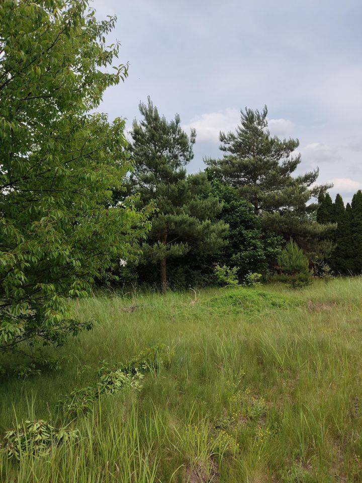 Działka budowlana Koty, ul. Potępska. Zdjęcie 3