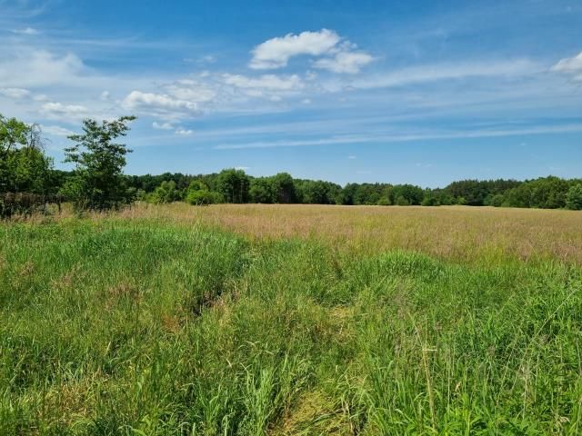 Działka budowlana Zaborówek. Zdjęcie 4