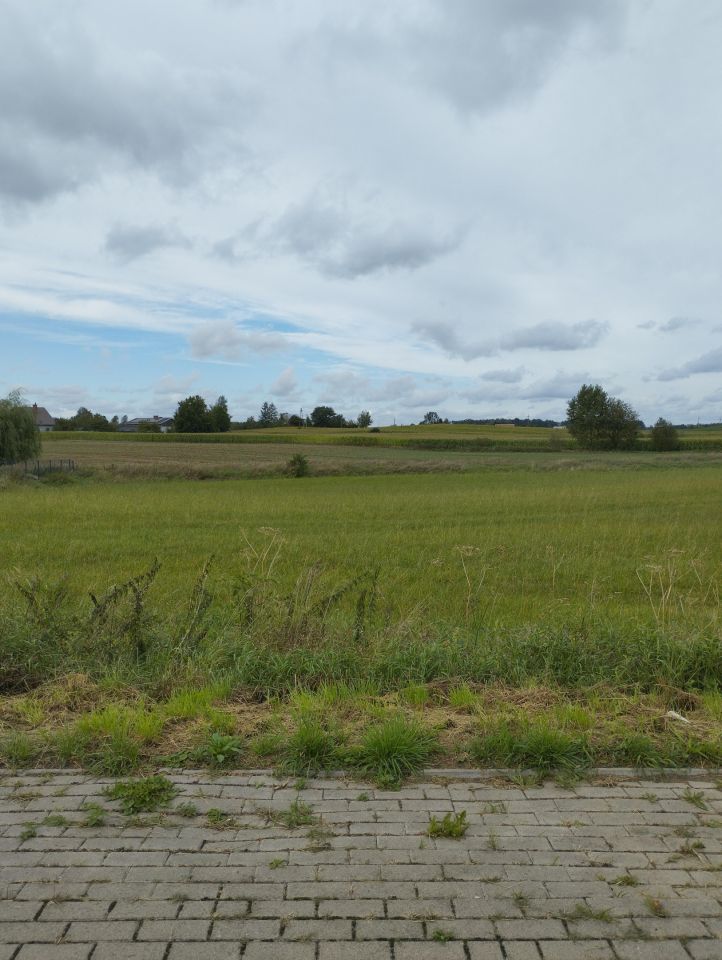 Działka rolno-budowlana Krupin. Zdjęcie 9