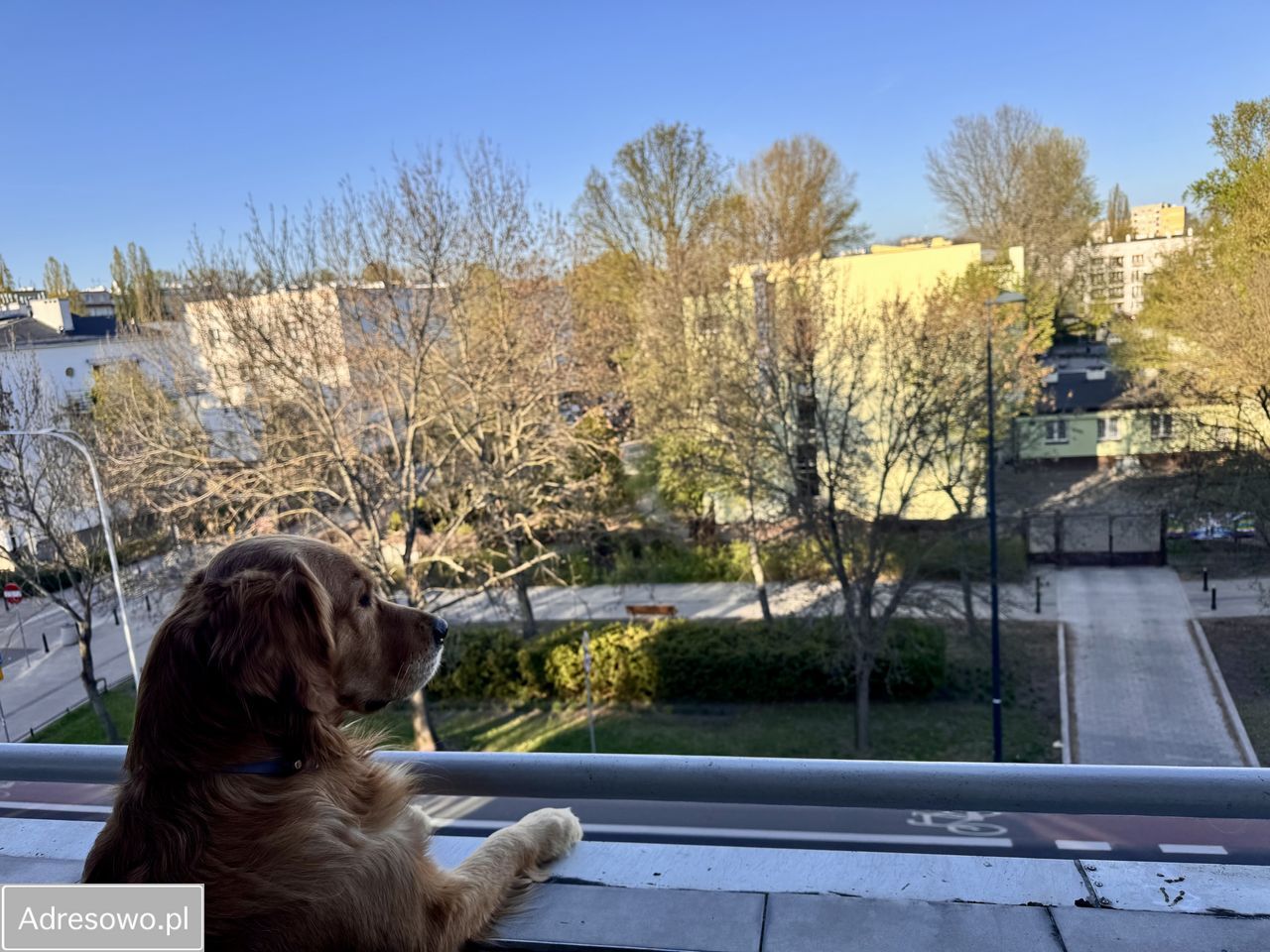 Mieszkanie 4-pokojowe Warszawa Saska Kępa. Zdjęcie 8