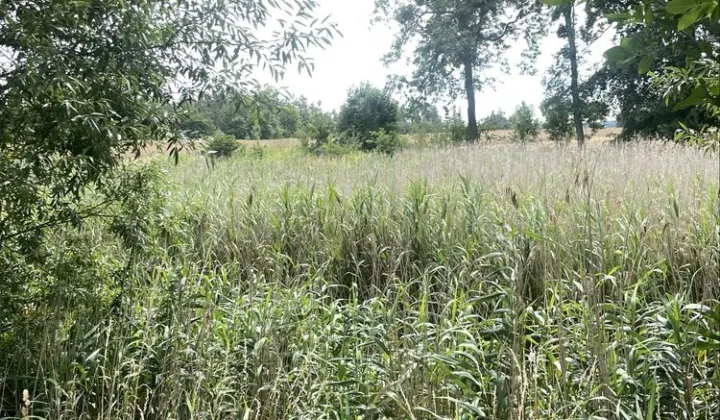 Działka budowlana Łysomice