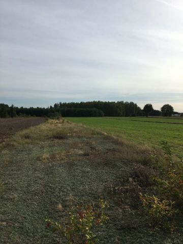 Działka rolno-budowlana Skierniewice, ul. Feliksów. Zdjęcie 1