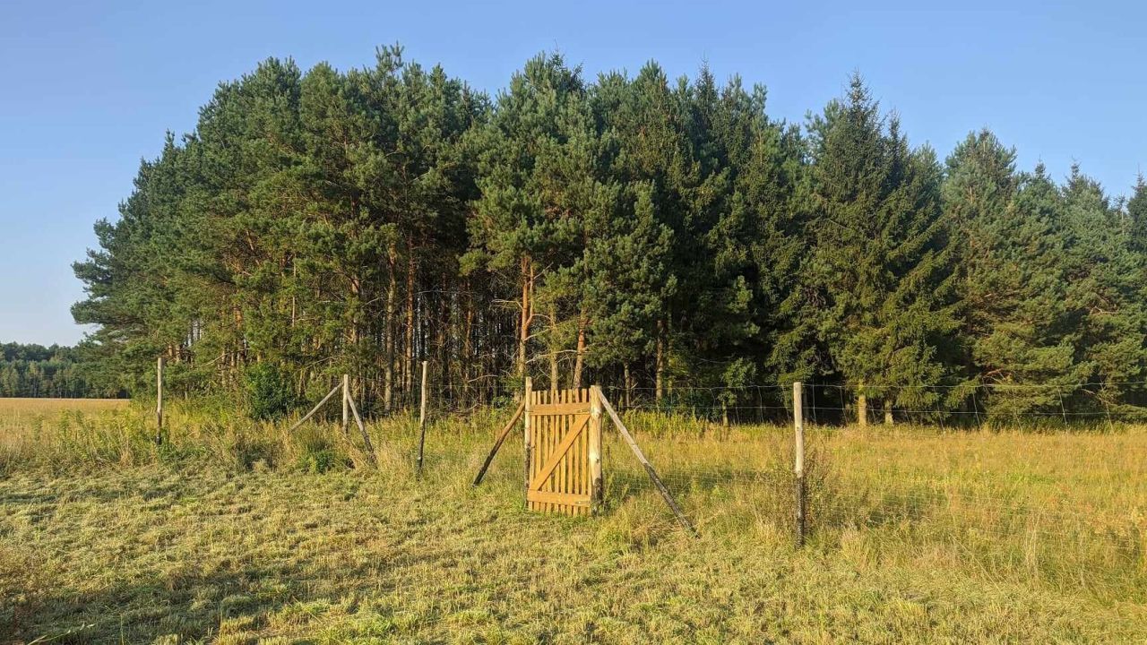 Działka rolno-budowlana Skwirynowo. Zdjęcie 3