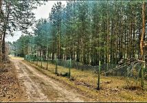 Działka budowlana Złotniki. Zdjęcie 3