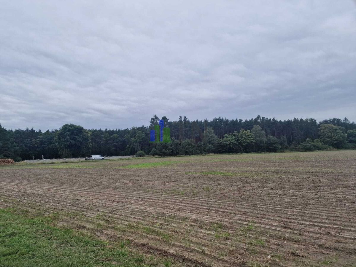 Działka budowlana Nowy Dwór. Zdjęcie 7
