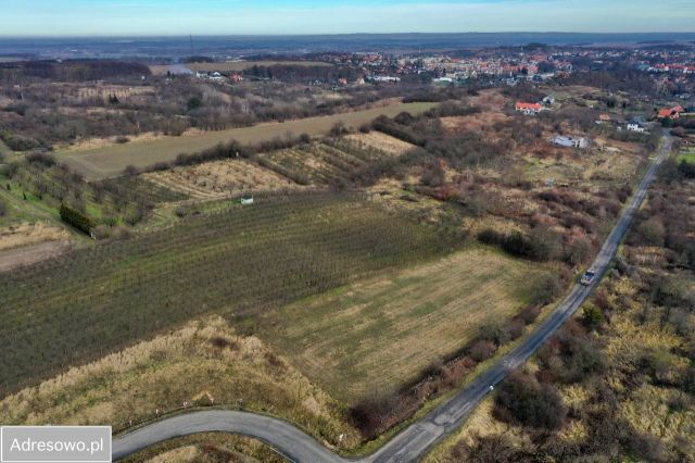 Działka budowlana Trzebnica, ul. Bolesława Chrobrego. Zdjęcie 1