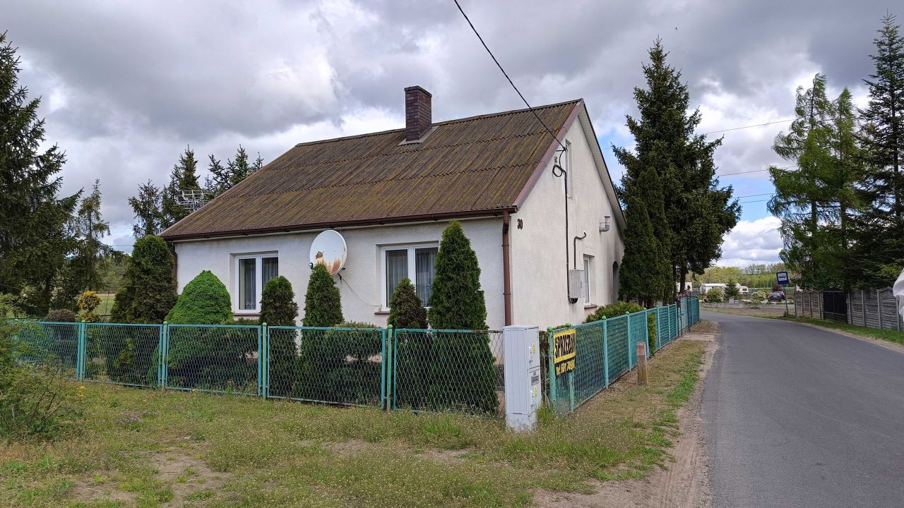 dom wolnostojący Drzewce