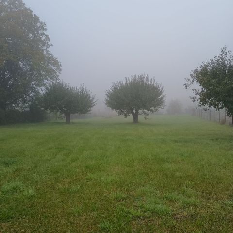 Działka rolno-budowlana Srebrzyszcze. Zdjęcie 1