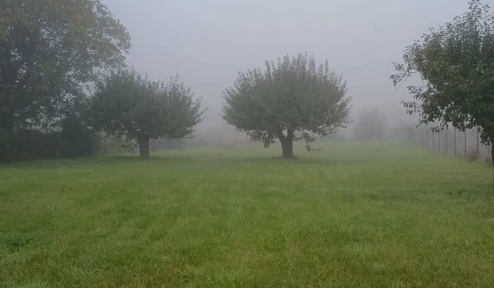 Działka rolno-budowlana Srebrzyszcze