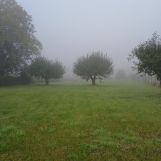 Działka rolno-budowlana Srebrzyszcze