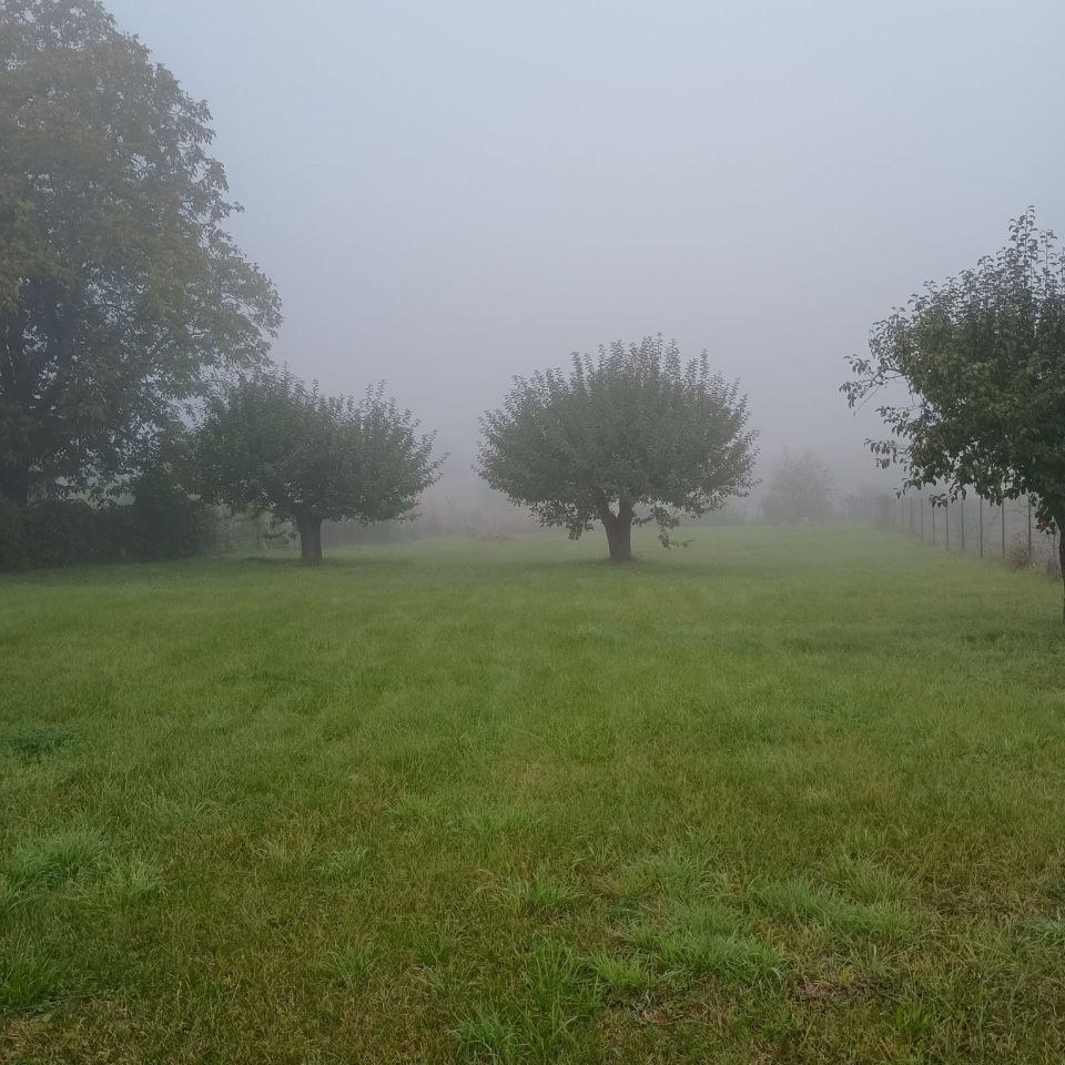 Działka rolno-budowlana Srebrzyszcze