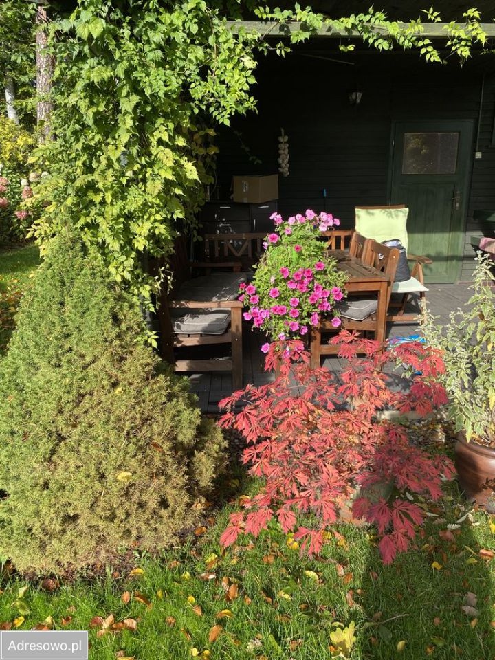 dom wolnostojący, 2 pokoje Cieszyno. Zdjęcie 3