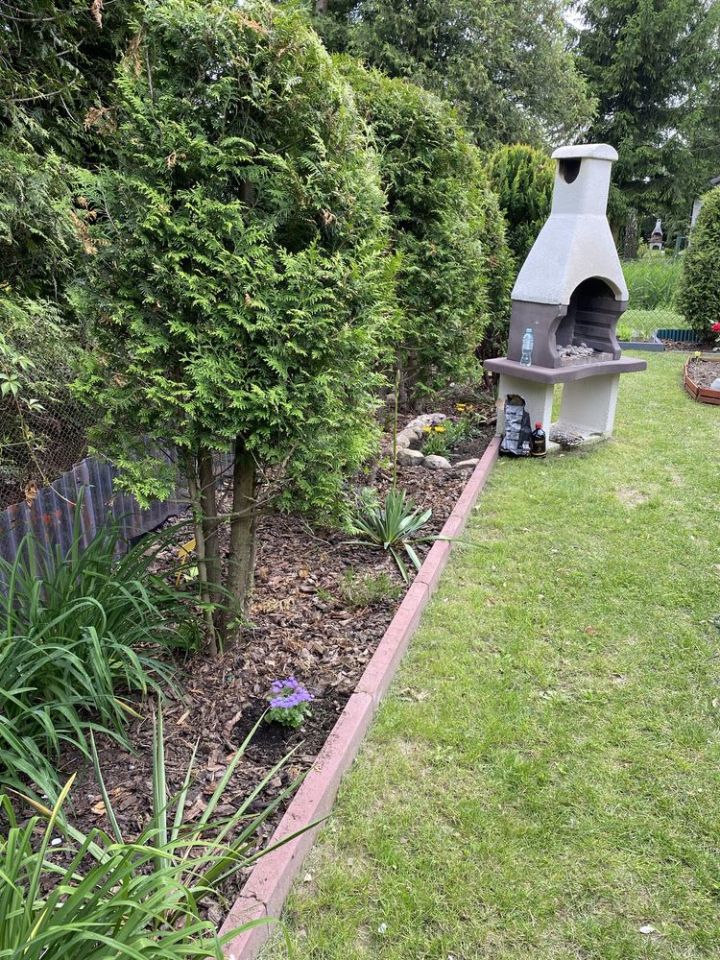 Działka rod Płock. Zdjęcie 8