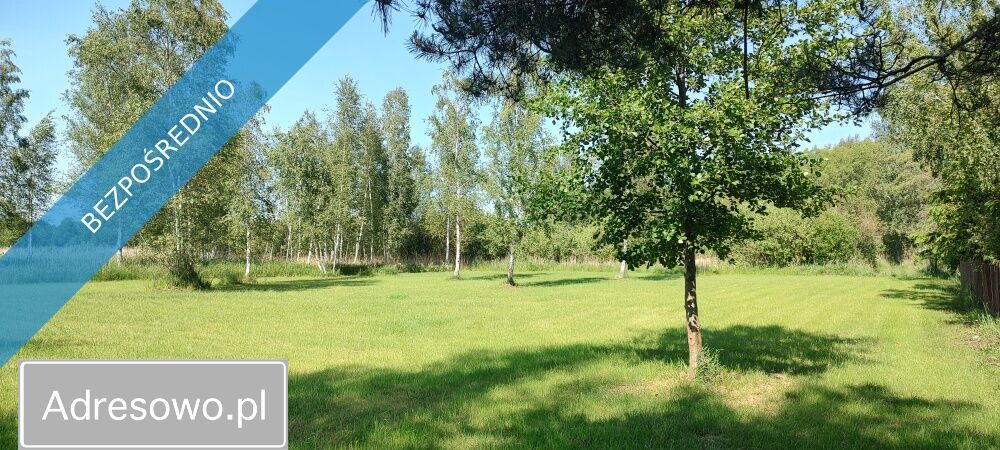 Działka rolna Szczechy Małe. Zdjęcie 9