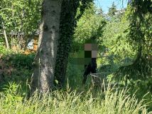 Działka rod Warszawa Bemowo. Zdjęcie 3