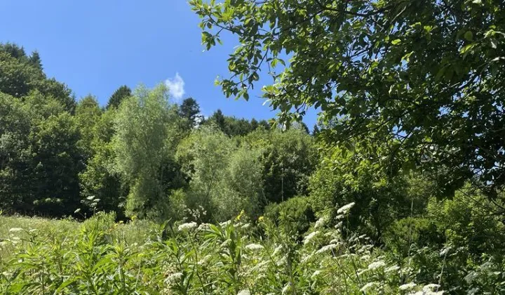 Działka rolna Muszyna, ul. Polna