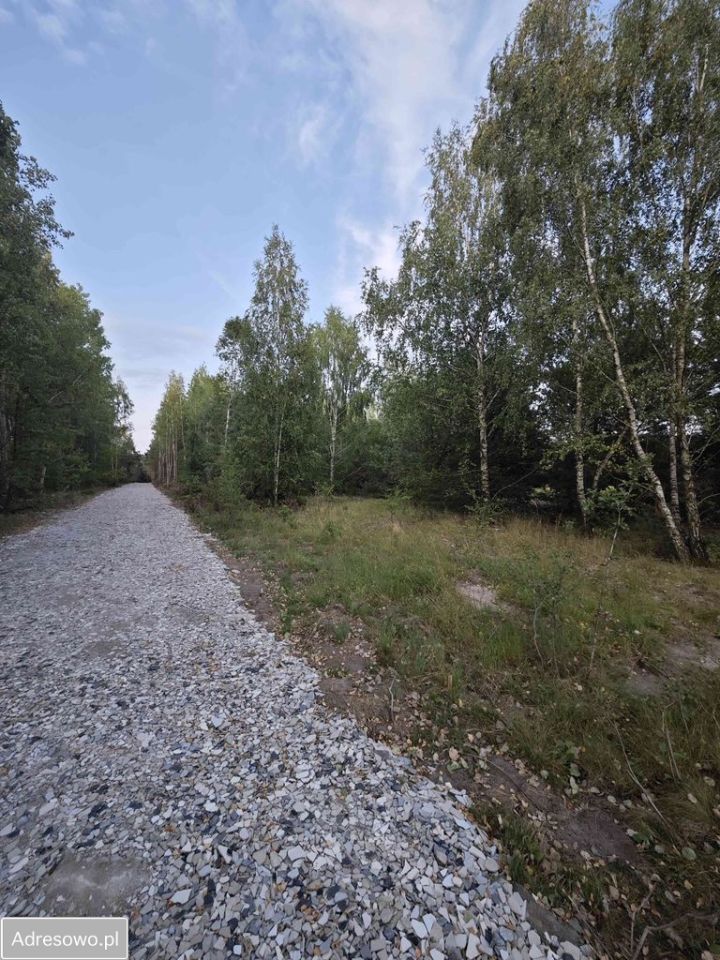 Działka budowlana Cekanów, ul. Leśna